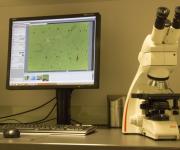 Cytologie