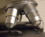 Cytologie